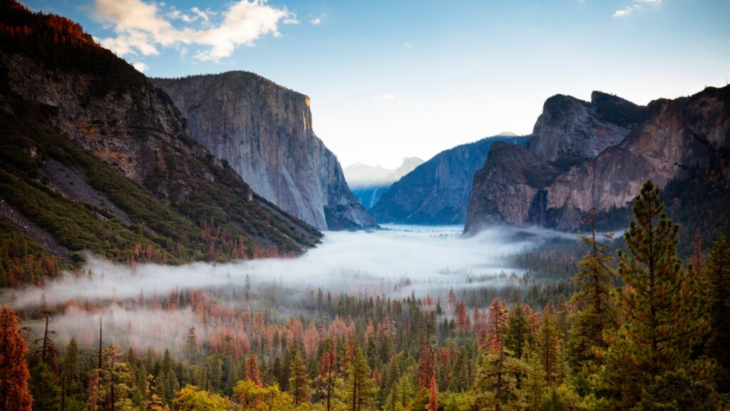 tunnel view in yosemite with clouds covered mountains and trees