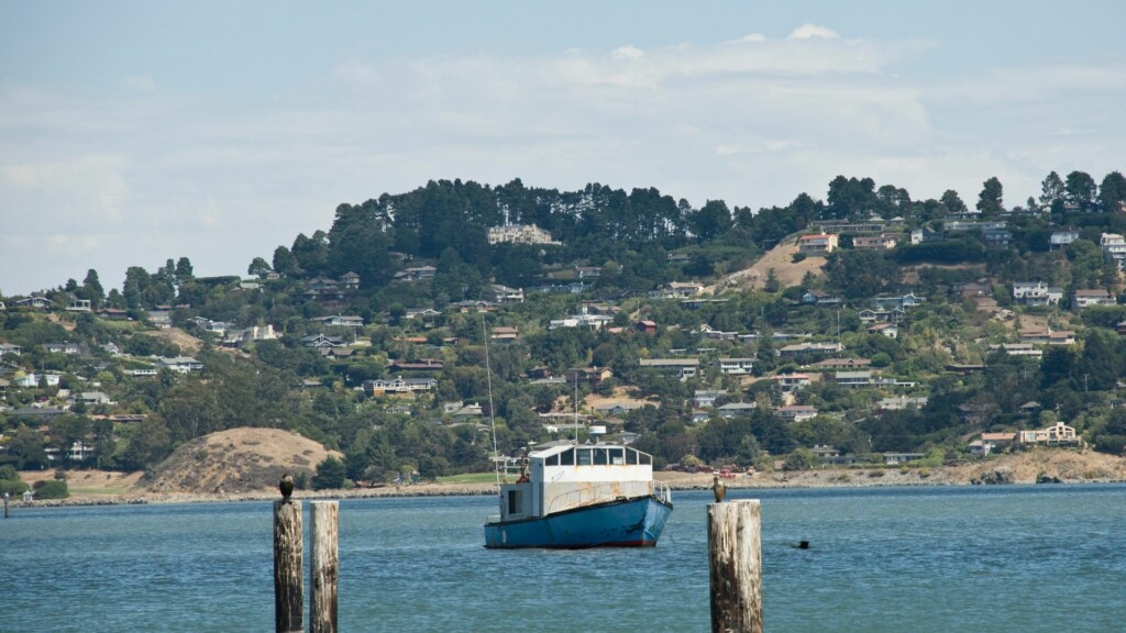 view of sausalito bay and a cruise ship in the middle