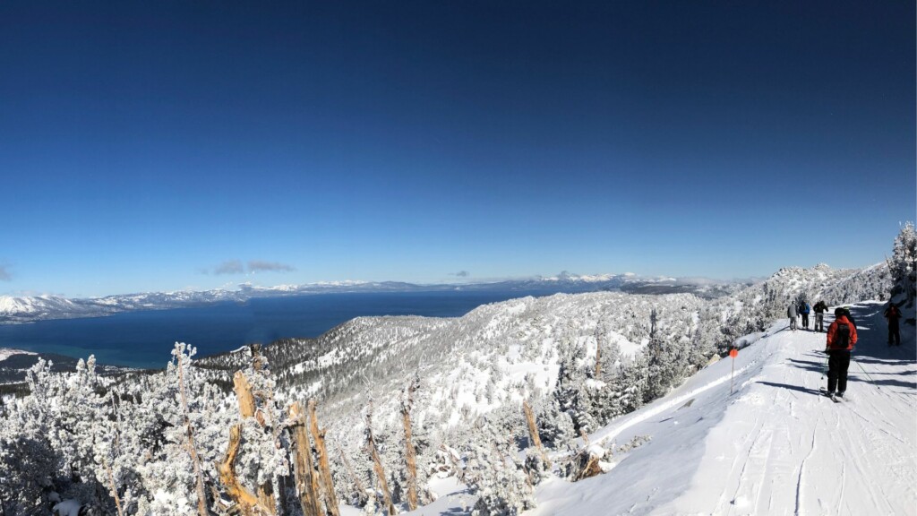 people at the edge of a slope with tall trees covered with snow below