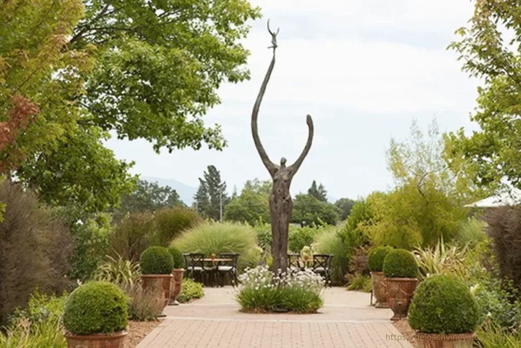 main alley in the DeLoach Vineyards