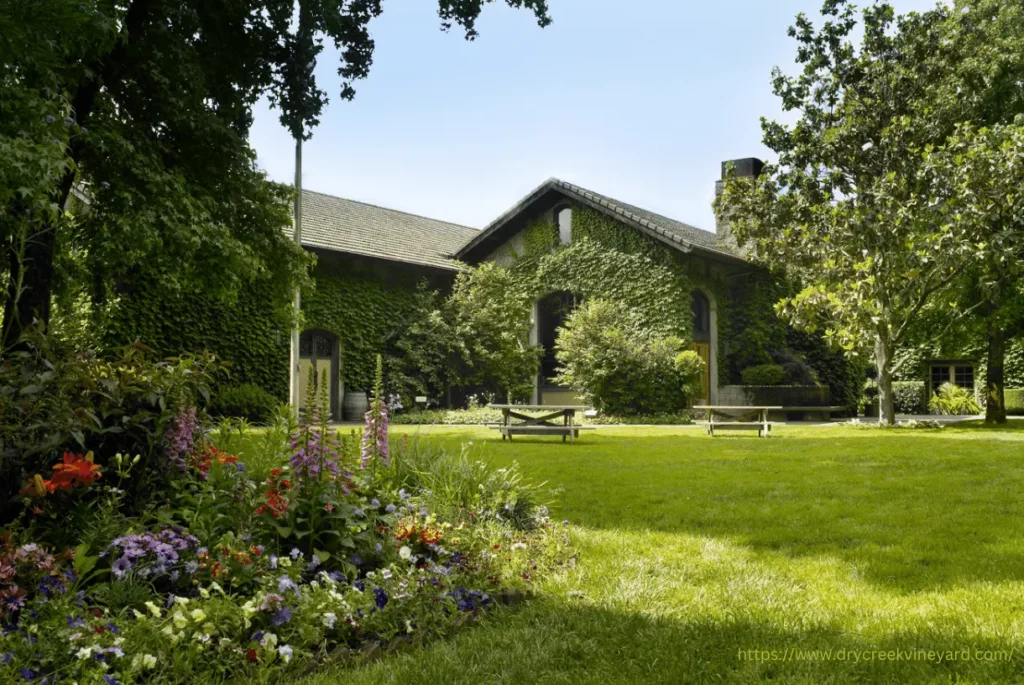 backyard of dry creek vineyards