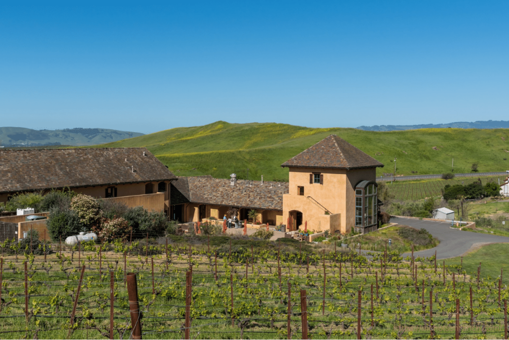 vineyards of nicholson ranch