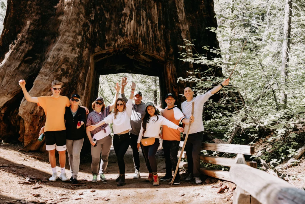 a group of hikers standing in front of the giant sequoia tunnel tree