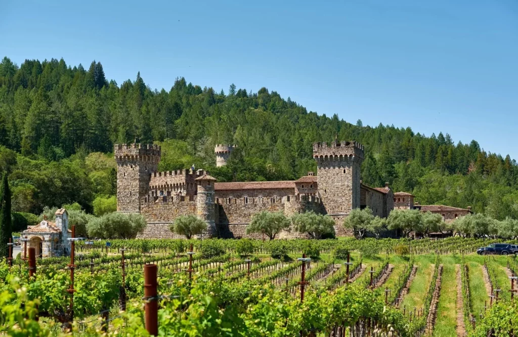 castello di amorosa