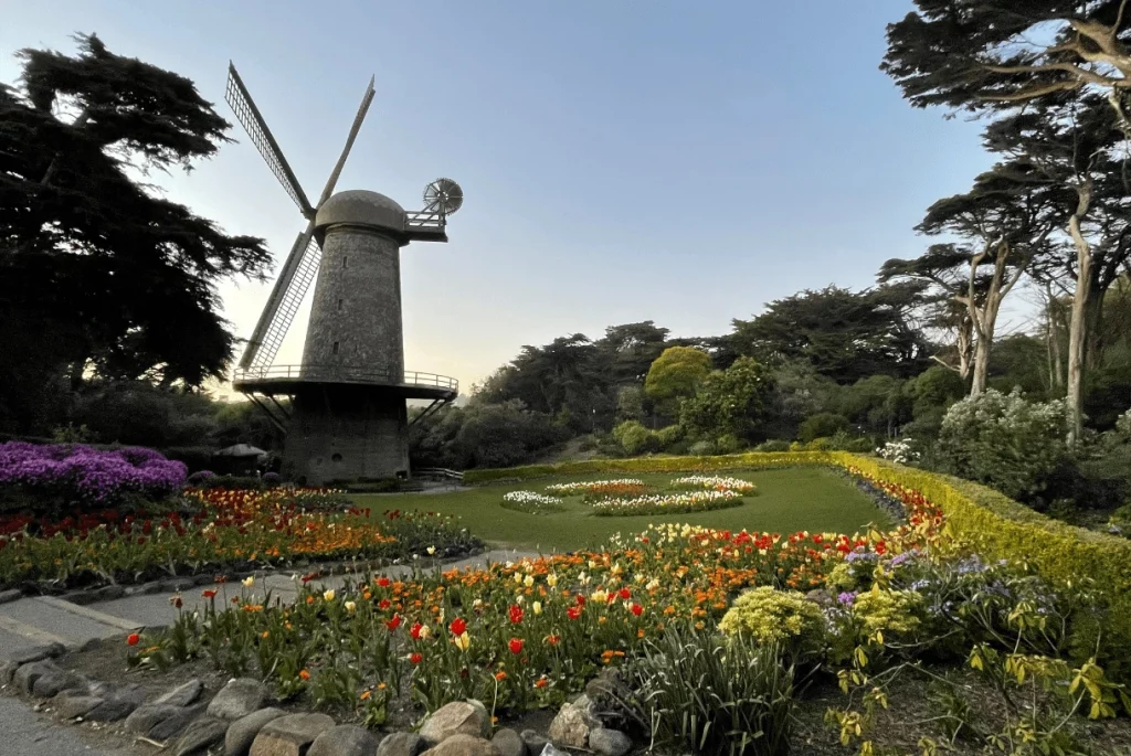 colorful flowers near one of golden gate park's ancient mills