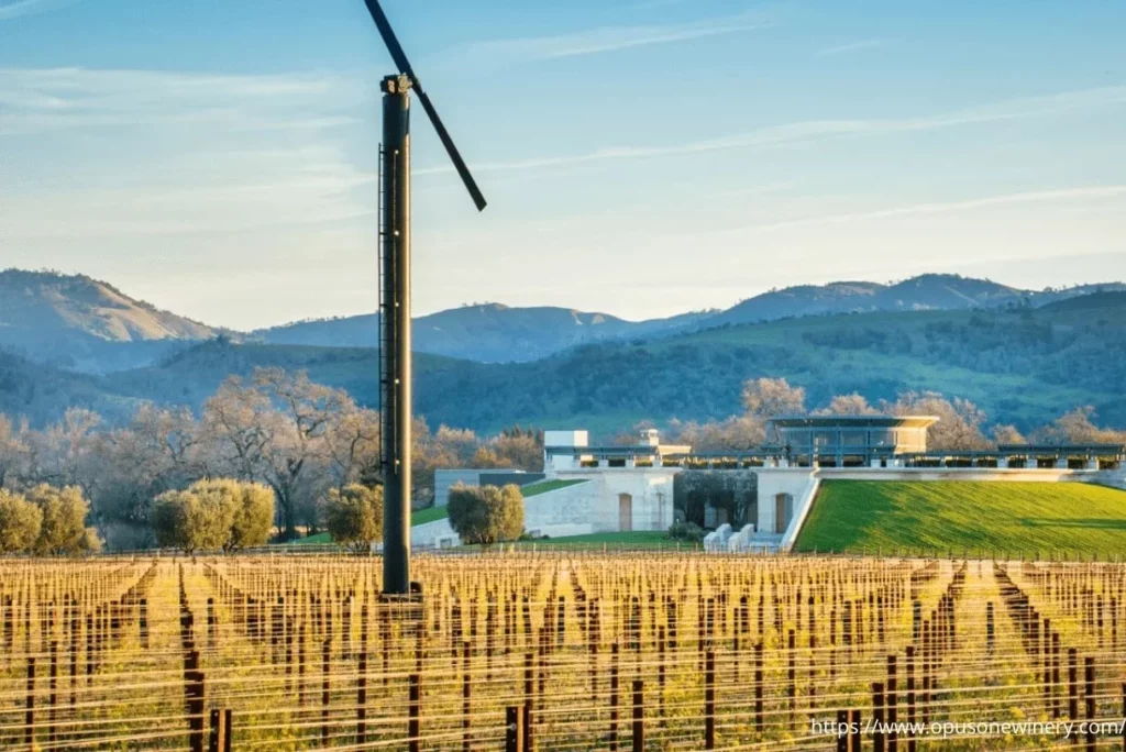 vineyards in front of hall napa valley winery 