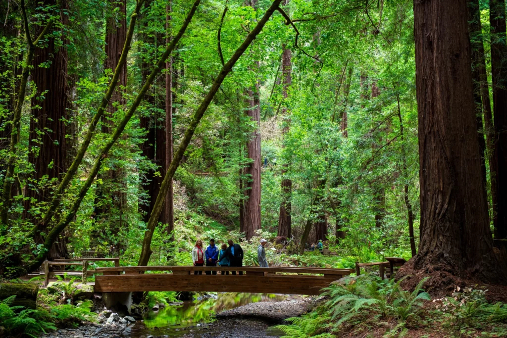 group of people standing on a wooden bridge over the creek in muir woods