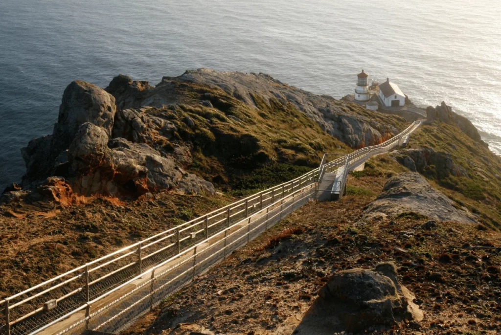 Point Reyes National Seashore during sunny day