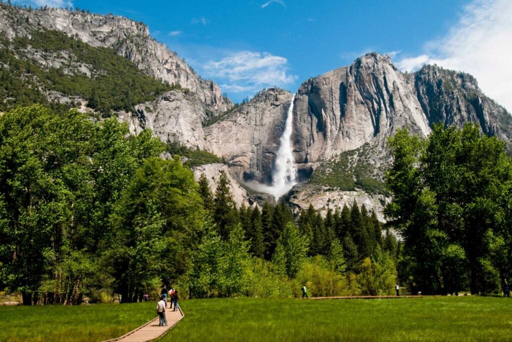 yosemite falls view from the meadow