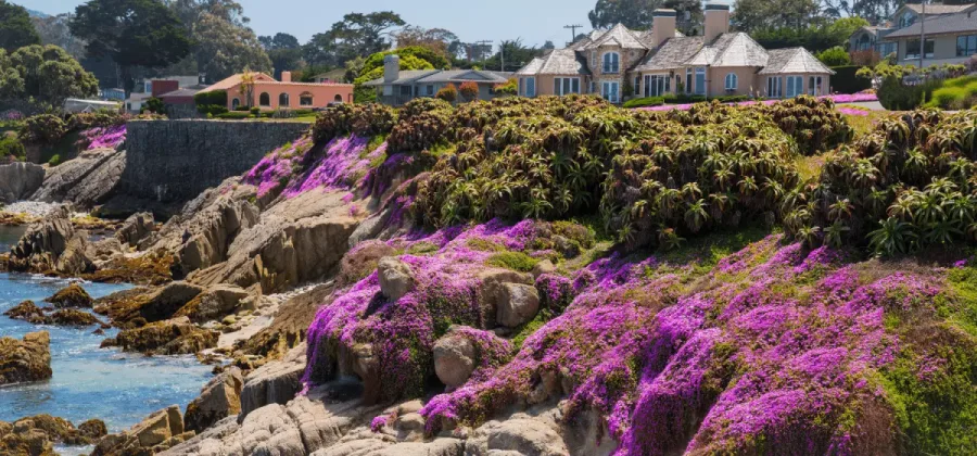 house beside a cliff
