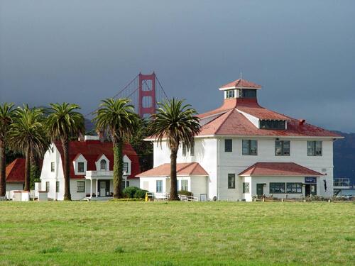 palm tress and houses in presidio 