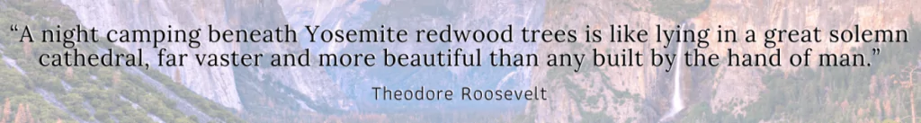 Theodore Roosevelt quote