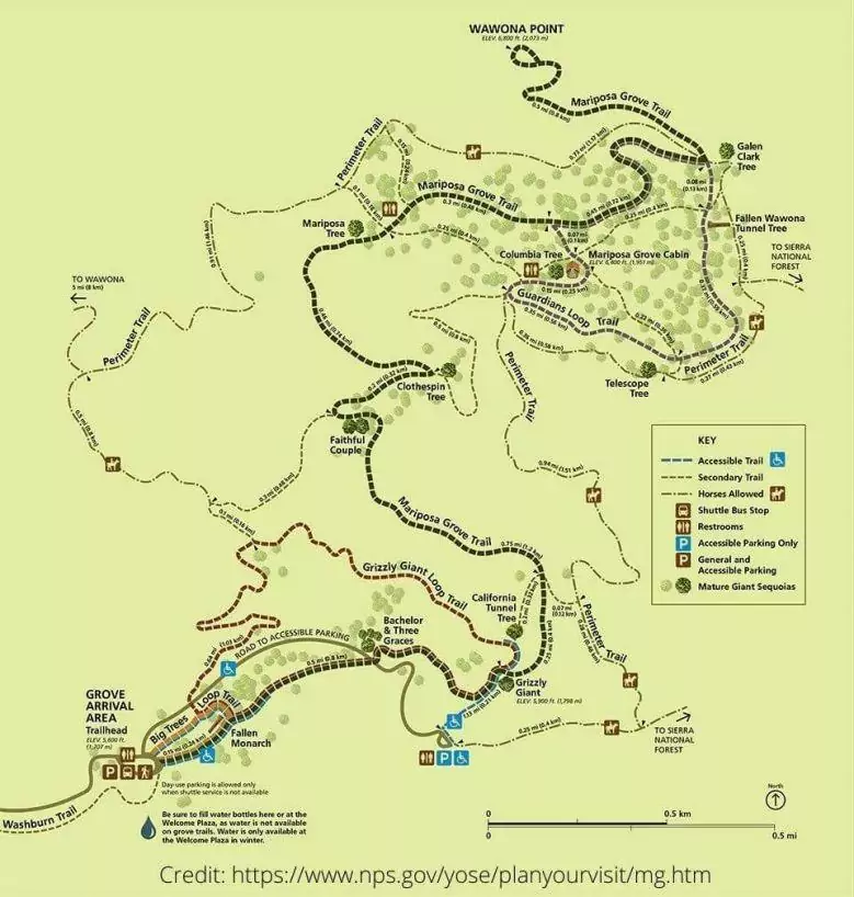 mariposa grove hike map