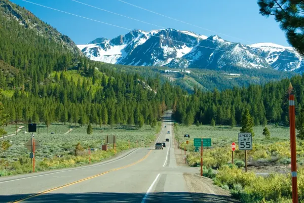 tioga pass view