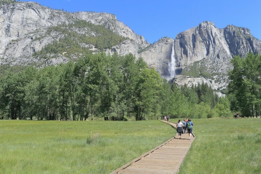 A group of people walking across a meadow in Yosemite Valley