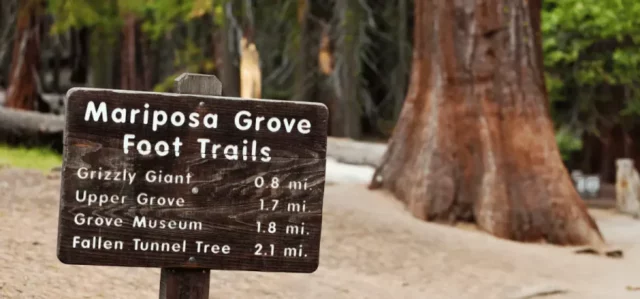 Mariposa grove signage 