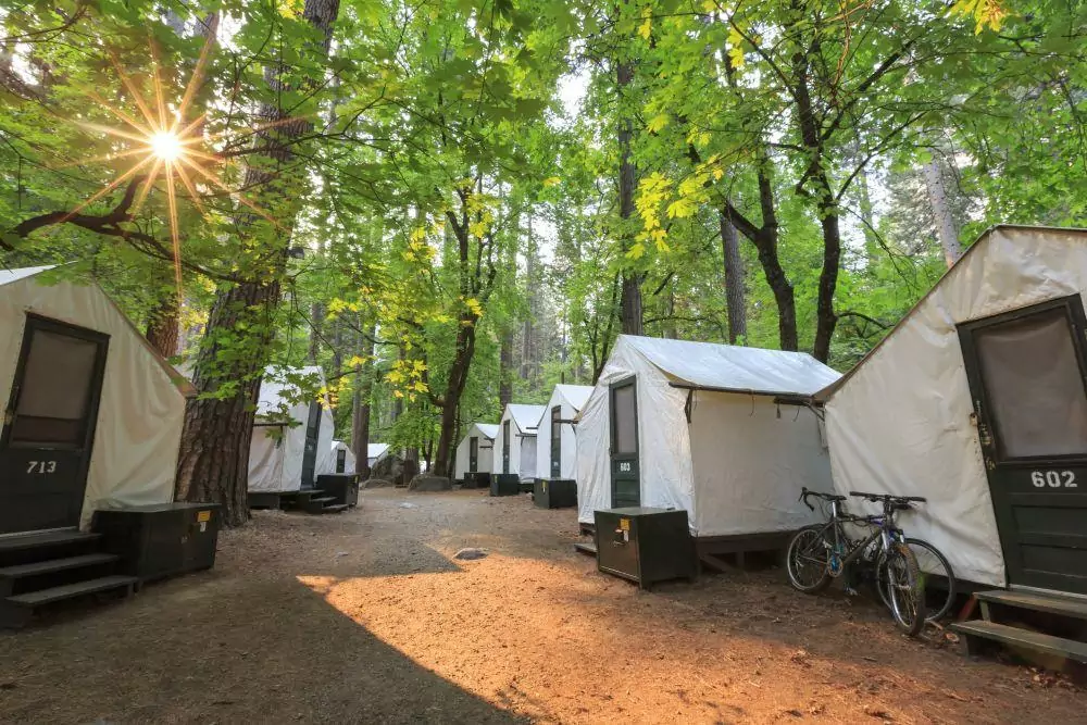 A number of soft-sided tent cabins in the woods