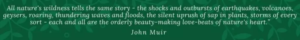 john muir quote