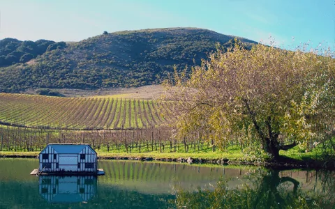 house in the middle of a lake surrounded by vineyards