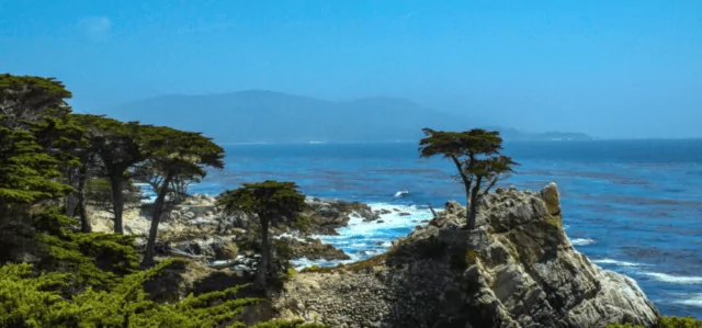 lone cypress tree on top of a cliff