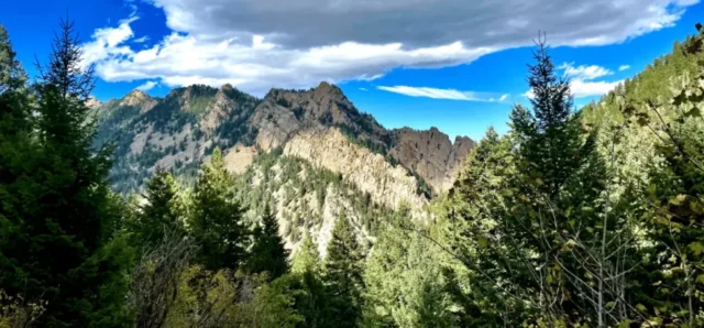 pine trees and mountains of Eldorado National Forest