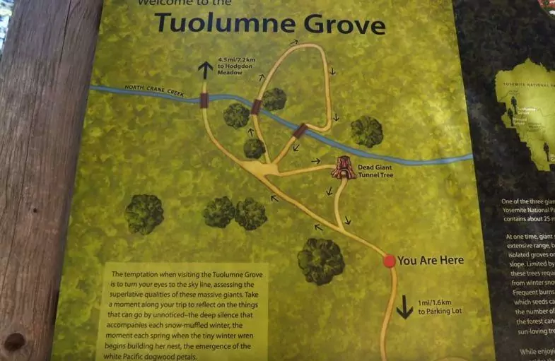 Tuolumne grove map