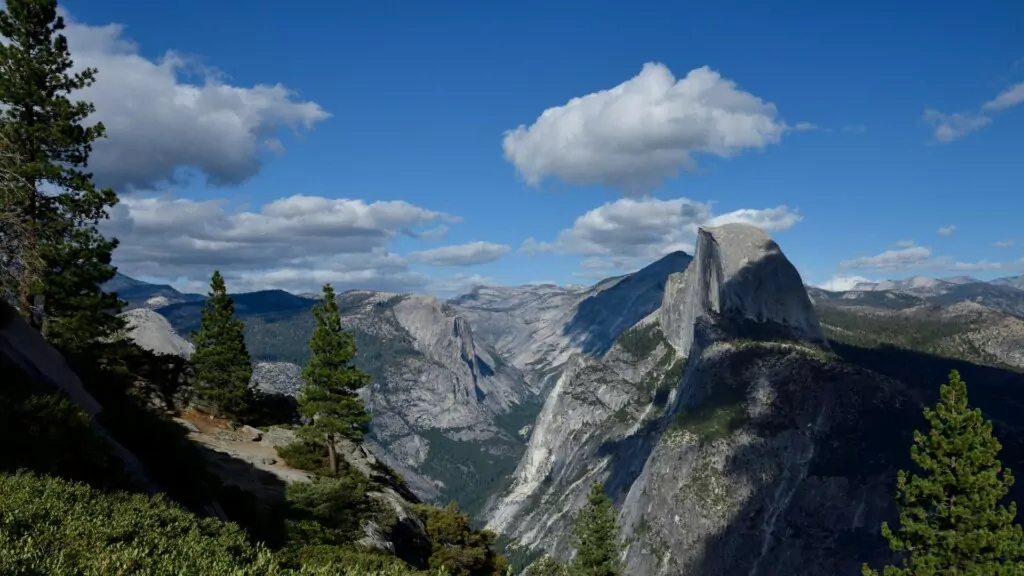 A photo of Yosemite Half Dome and a tree on a cliff