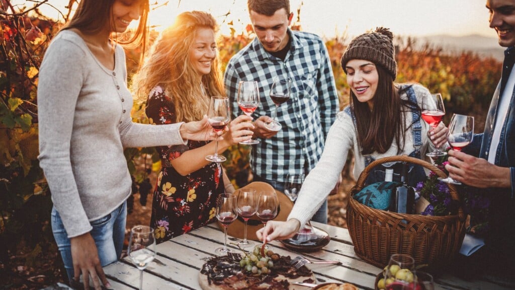 group of people toasting in the vineyard with glasses of red wine