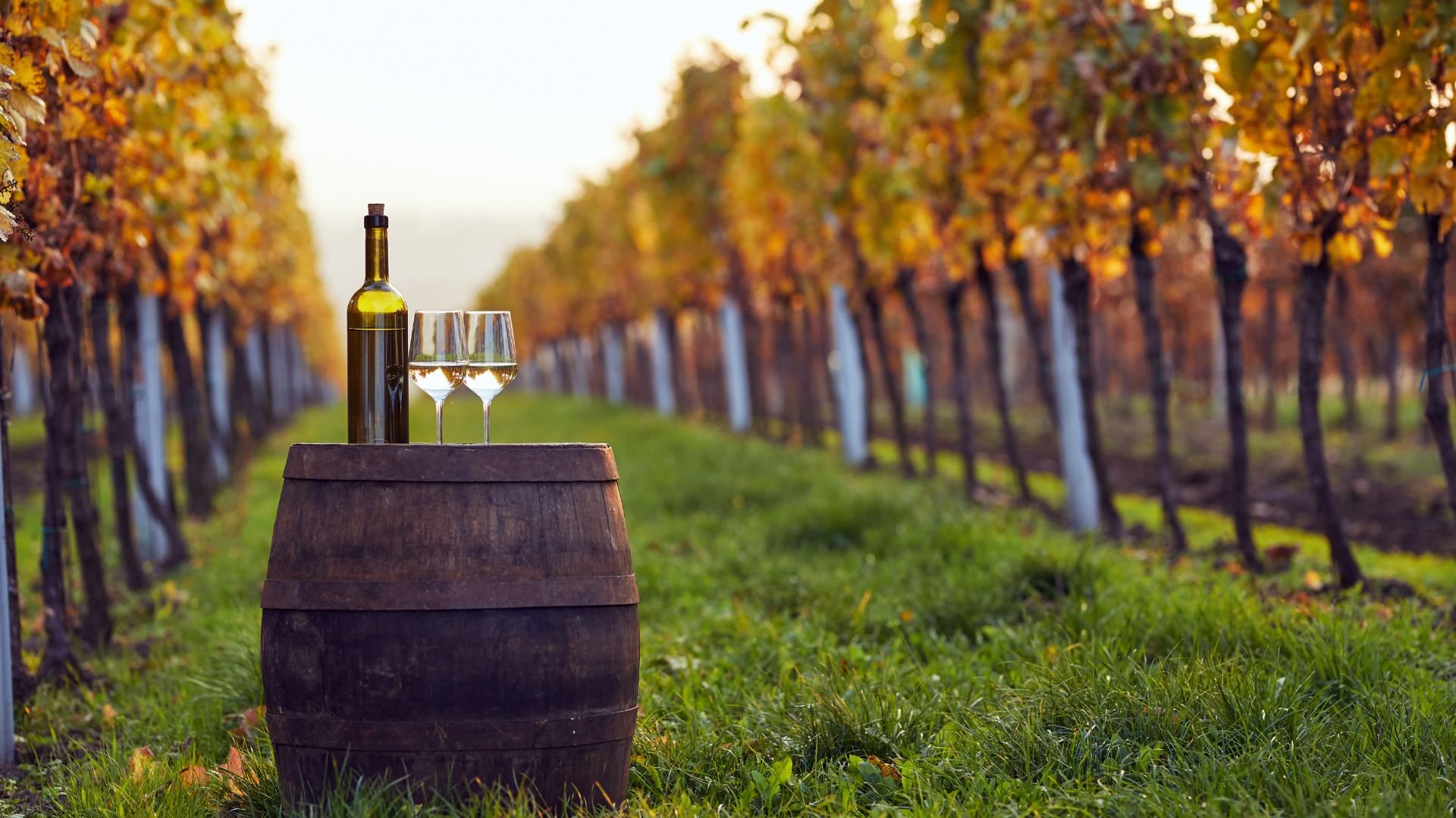 a bottle of wine and 2 glasses of white wine on top of a wooden barrel