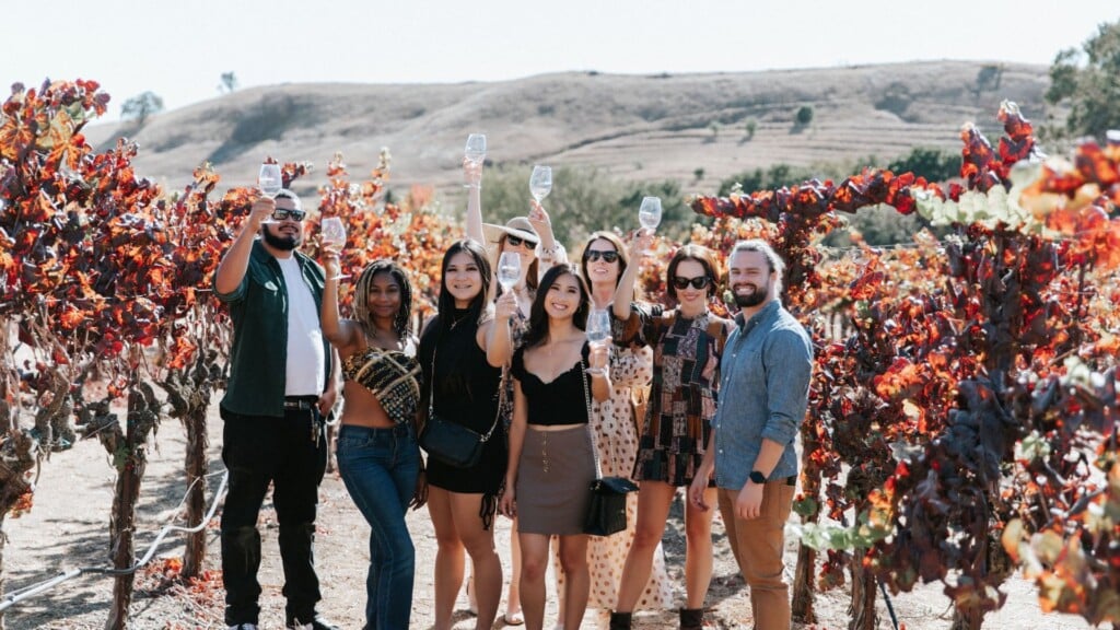 group of people raising their wine glasses in the vineyard 