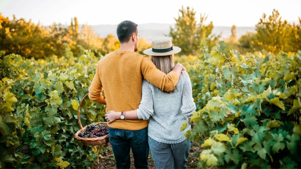 a couple strolling through a winery field in the fall
