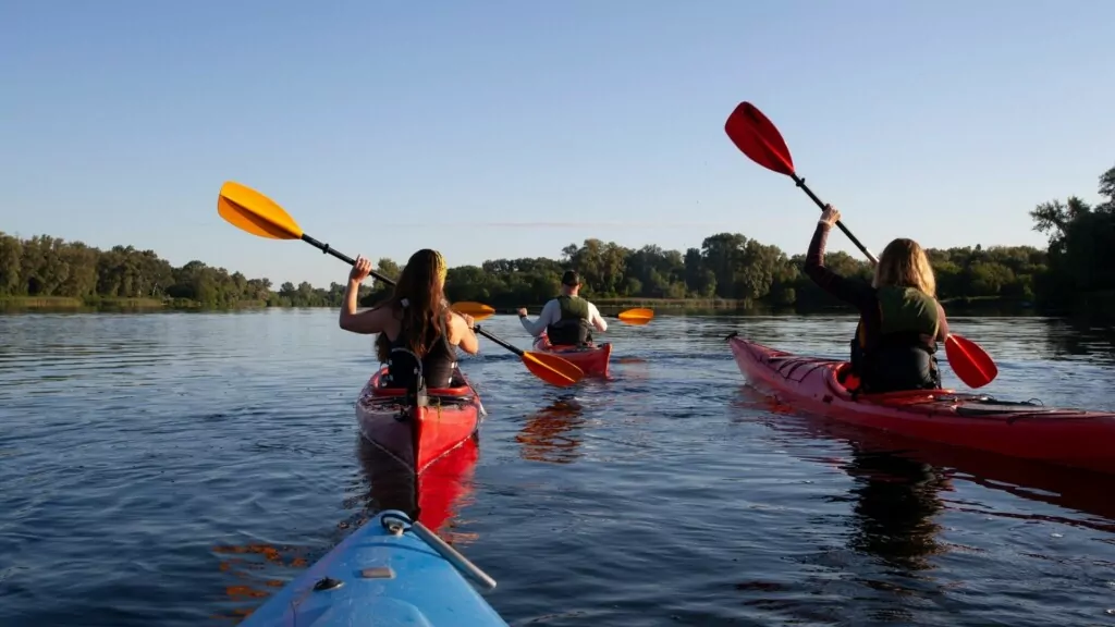 people kayaking in a bay 