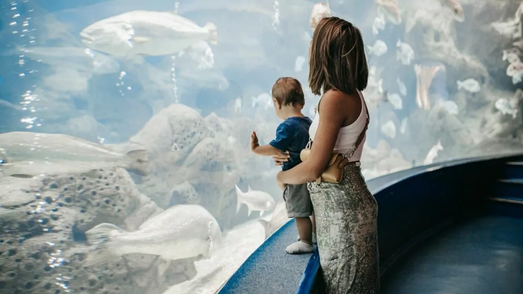 a woman holding a toddler while looking at an aquarium 