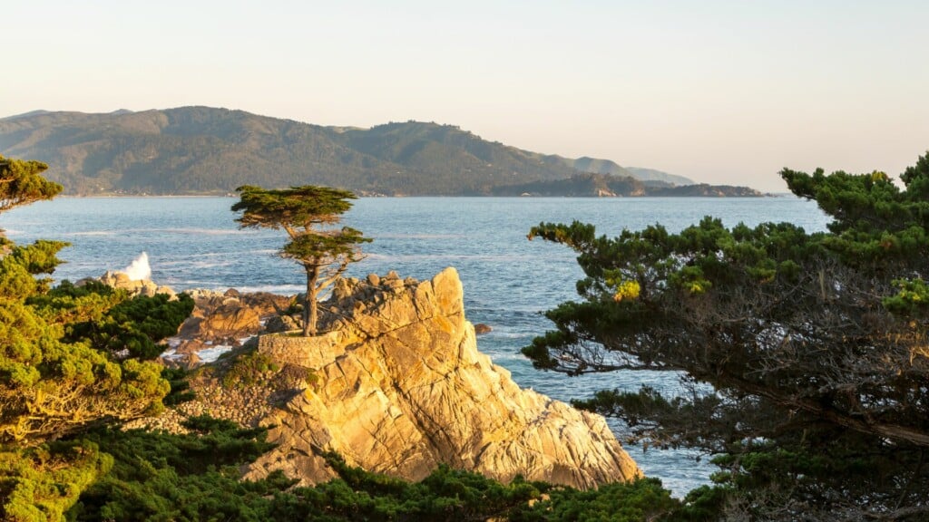 rocky cliff with lone cypress near the ocean with clear blue water on the background