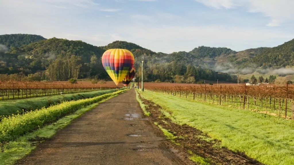 a hot air balloon flying over a vineyard