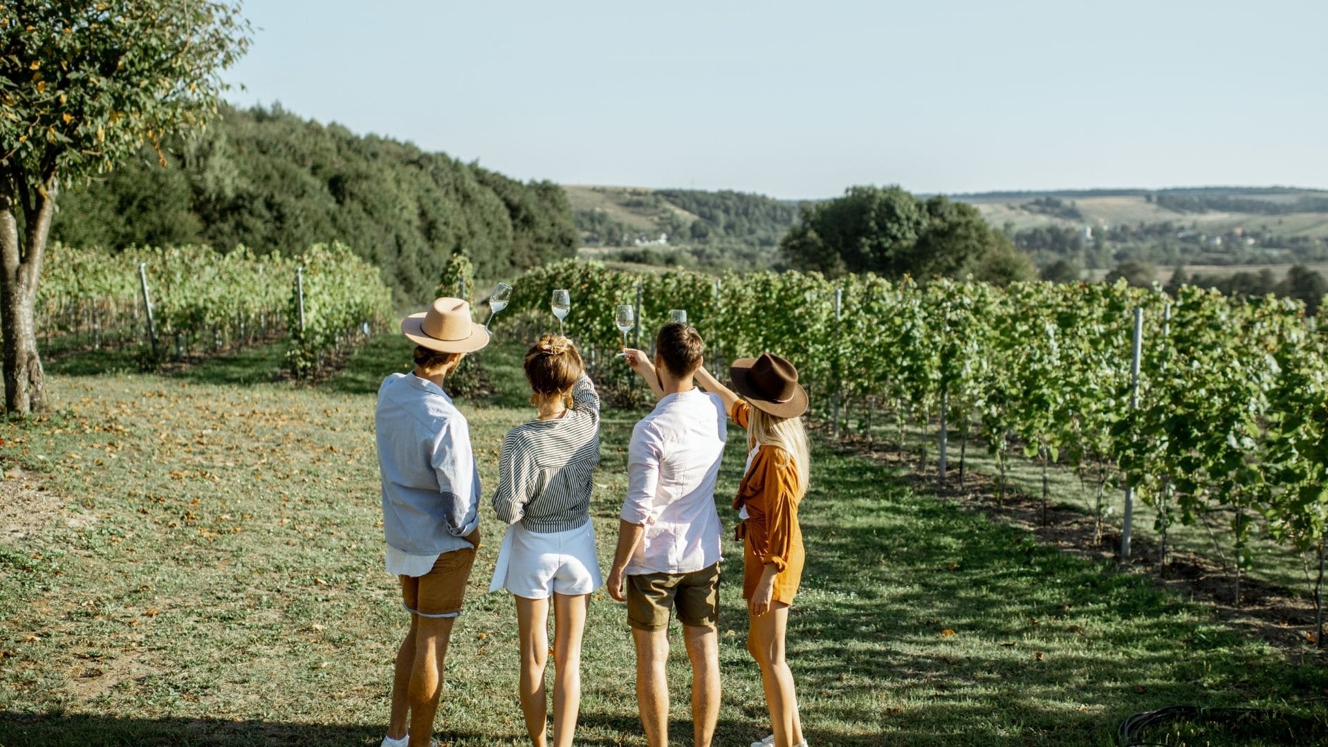 for people raising their glass of white wine with a vineyard as background