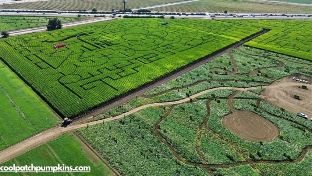 an aerial photo of a  corn maze  field