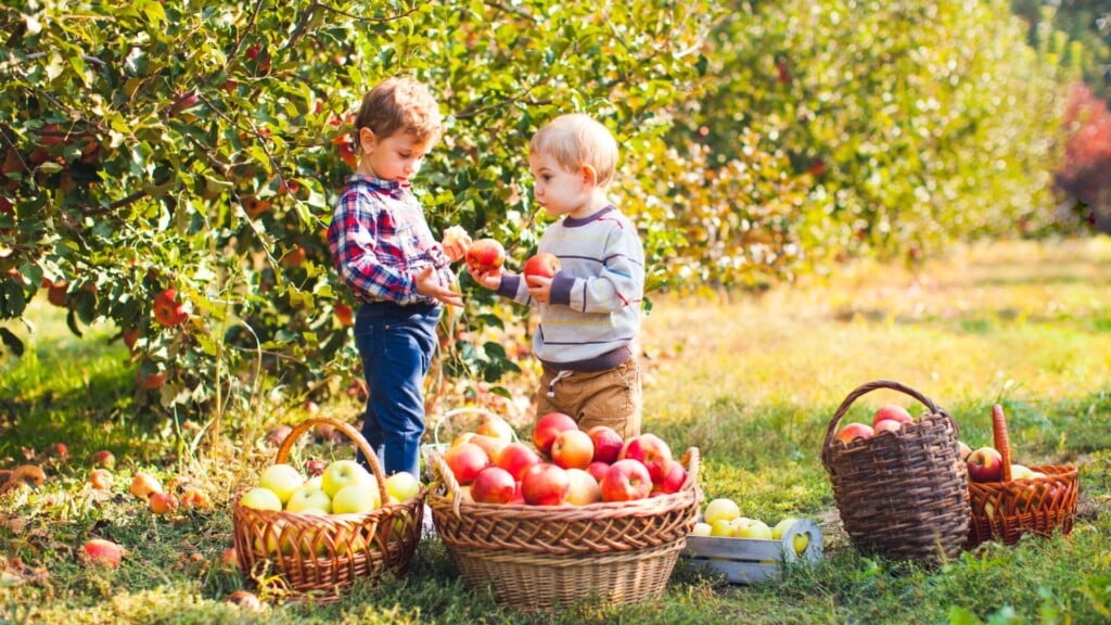 two kids surrounded by basket of apples 