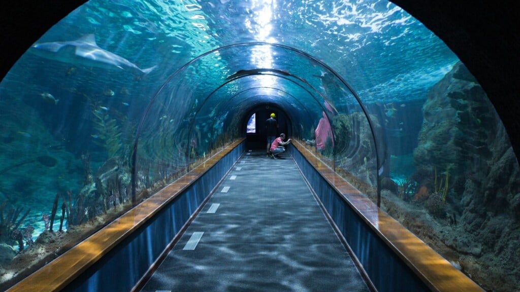 a view of a pathway of an Aquarium 