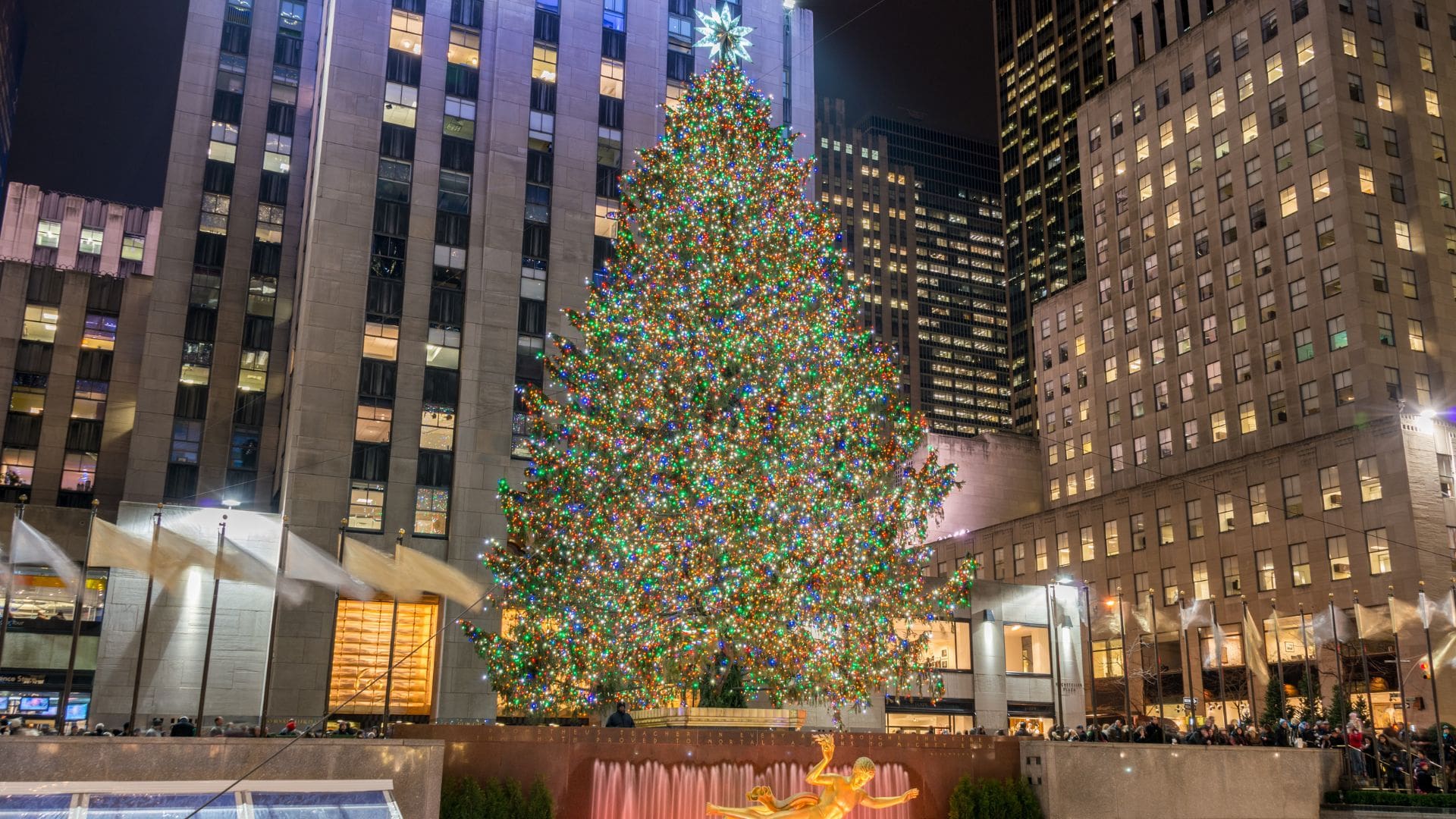 a tall christmas tree decorated with lights in front of a building