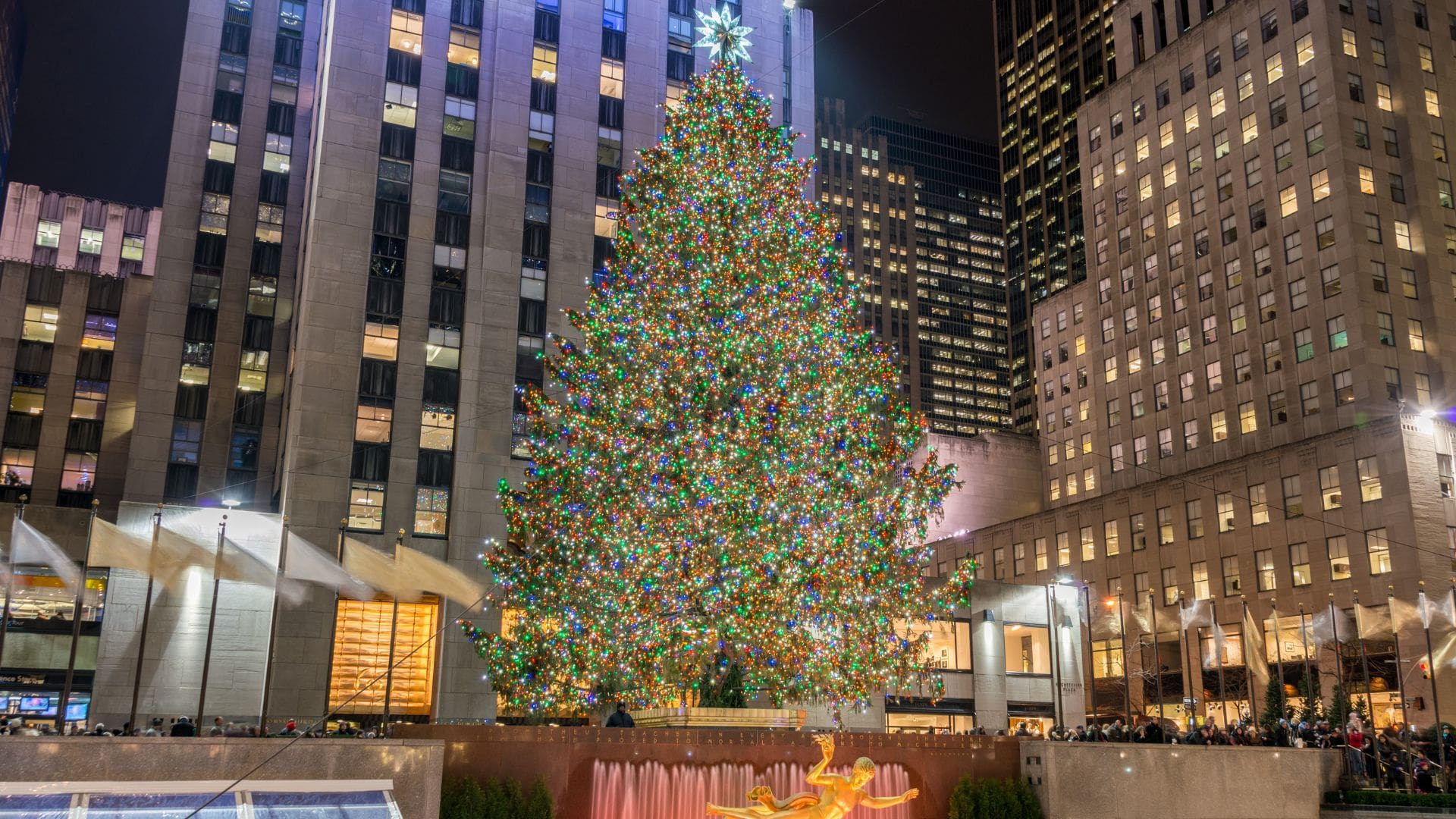 a tall christmas tree decorated with lights in front of a building 