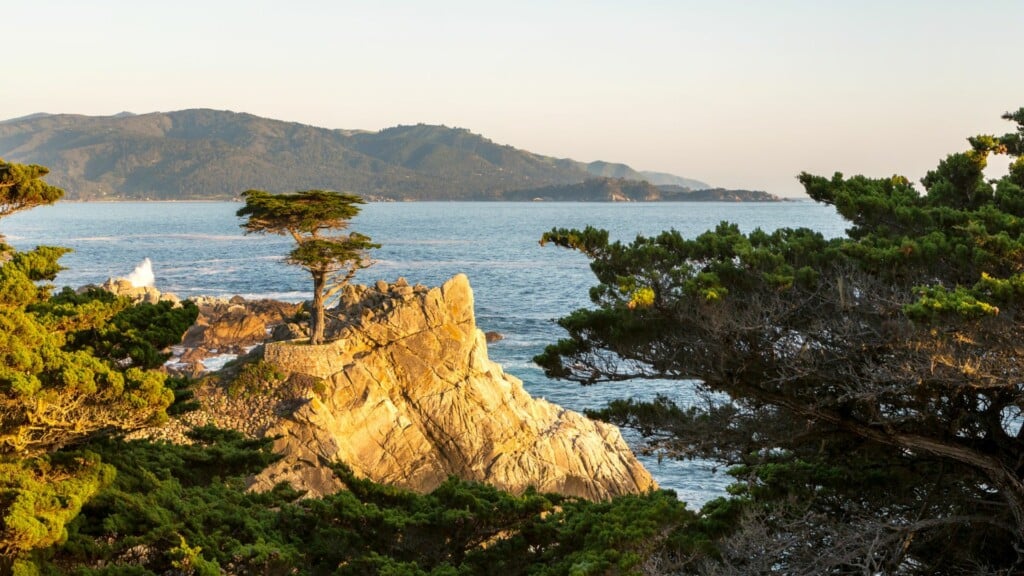 rocky cliff with lone cypress near the ocean with a hill on the background