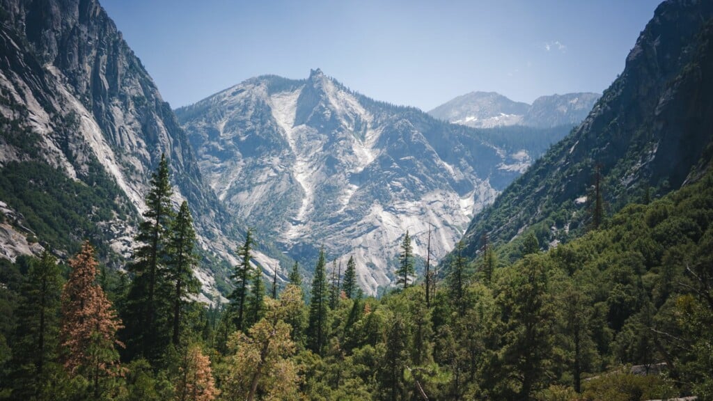 a panoramic view of mountain with tall trees in between 