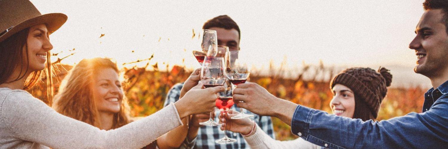 group of people toasting with their wine glass filled with red wine