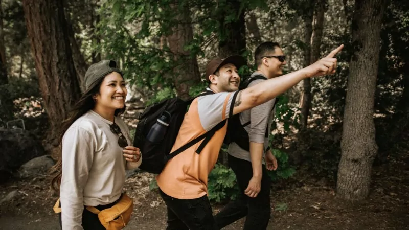 Three friends hiking through a forest, smiling and pointing at something ahead.