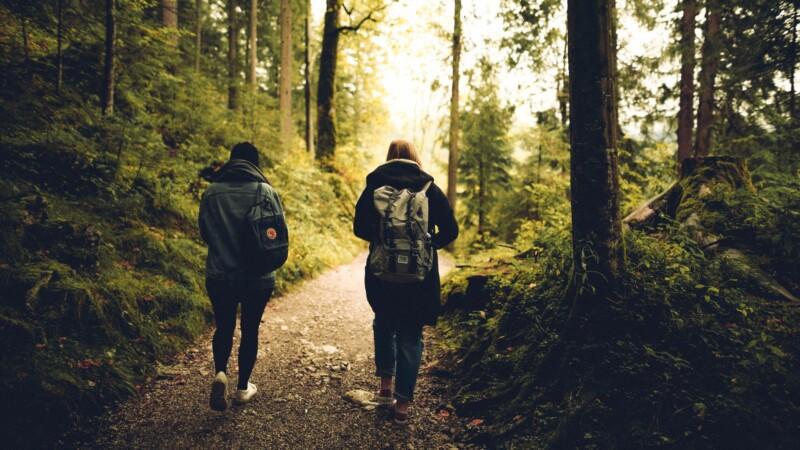 Two people with backpacks walking on a forest trail surrounded by tall trees and greenery.