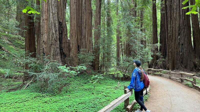 A woman wearing a blue hoodie and carrying a red backpack stands on a forest trail,