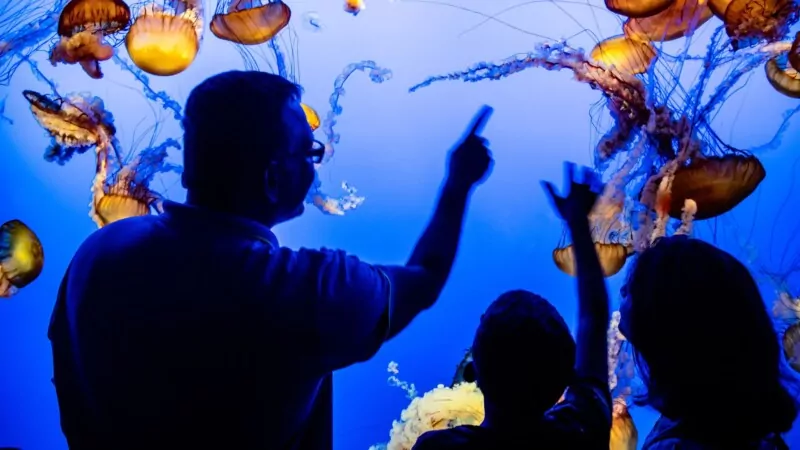 people admiring jellyfish in what looks like a glowing, immersive aquarium setting