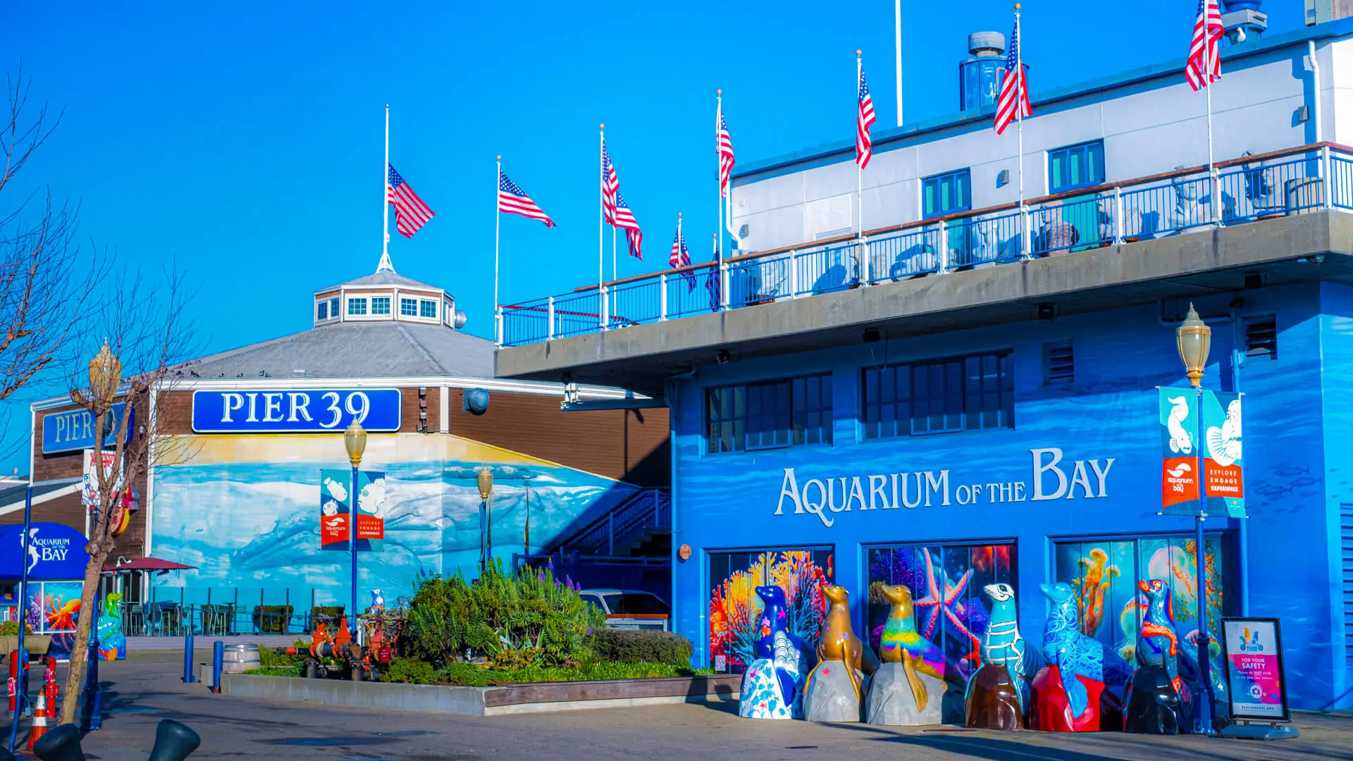 Exterior of Aquarium of the Bay at Pier 39 with colorful sea lion statues and American flags.